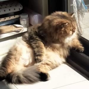 Meet your Posher, Jerry